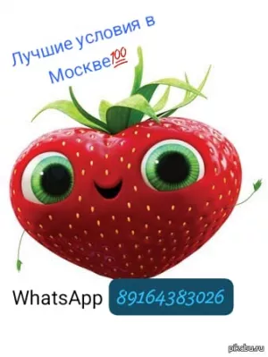 РАБОТА МОСКВА
