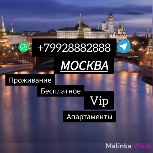 Работа  vip условия