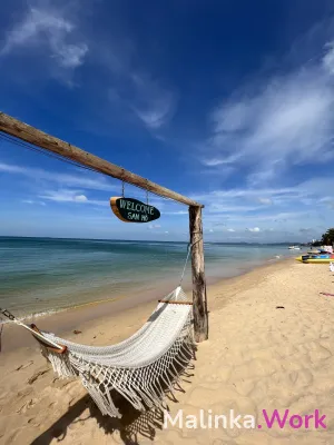 Стабильная работа спб, не салон