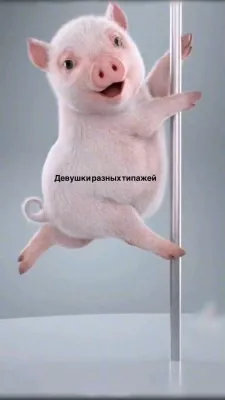 Твоя лучшая жизнь