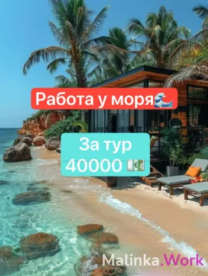 Заработай с нами миллионы, мы поможем!