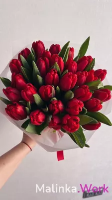 Подработка Томск!!